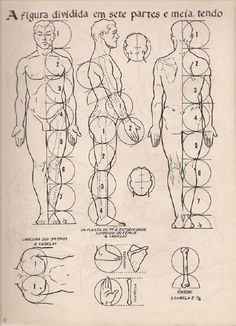 a diagram of the human body and how to draw it in spanish, with instructions for each