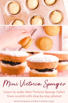 mini victoria sponges in muffin tins with text overlay reading mini victoria sponges learn to make mini victoria sponge cakes from scratch - step - by - step photos