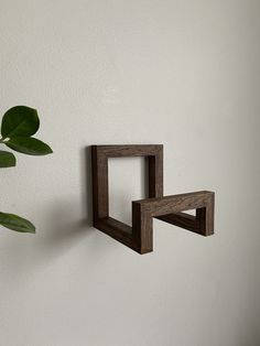 two wooden shelves are hanging on the wall next to a potted plant and a white wall