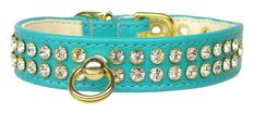 a turquoise leather dog collar with gold studs