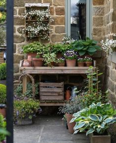 an outdoor garden with potted plants and flowers on the outside wall, in front of a stone building