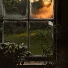 an open window with the sun shining through it and plants in pots on the windowsill