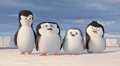 five penguins are standing in the snow with one penguin looking at the camera and three others staring