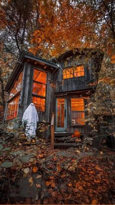 a person standing in front of a small cabin surrounded by trees with leaves on the ground