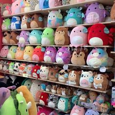 there are many stuffed animals on the shelves