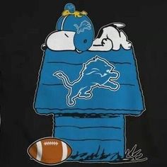 a black shirt with an image of the detroit lions on it and a football ball