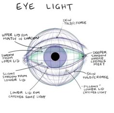 an eye diagram with all the parts labeled in it and some words describing what they are