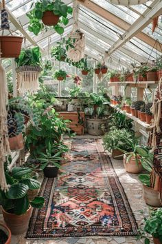 a room filled with lots of potted plants next to a rug on the floor