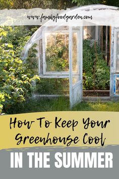 an old greenhouse with text overlay how to keep your greenhouse cool in the summer