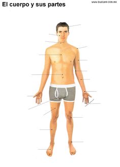 a man's body is shown with the words in spanish