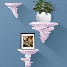 two pink shelfs and a potted plant on a blue wall