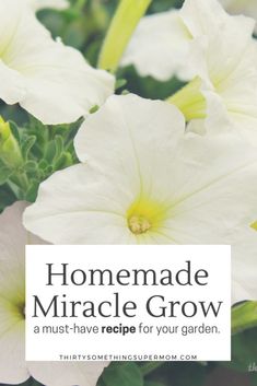 white flowers with the words homemade miracle grow on it's front and bottom corner