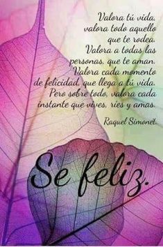 a leaf with the words se feli's written in spanish and english on it