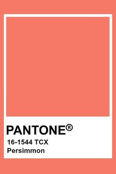 the pantone color is shown in an orange background