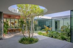 the inside of a modern house with trees and plants in the courtyard, surrounded by glass walls