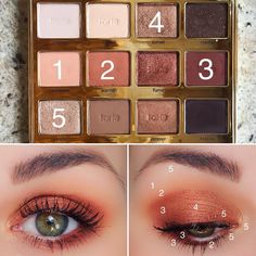 Tarte In Bloom Palette Looks, Tarte In Bloom Palette, Tartlette In Bloom, Tarte In Bloom, Eye Makeup Guide, Tarte Eyeshadow Palette, Blending Eyeshadow, Morphe Brushes, Makeup Guide