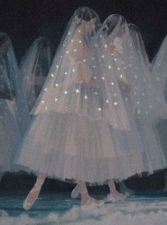 a group of ballet dancers in tulle skirts with stars on the skirt and veils