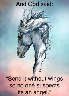 a horse with the words and god said send it without wings so no one supports it's an angel