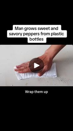 a person is cleaning the floor with a paper towel on top of it and text that reads, man grows sweet and savory peppers from plastic bottles wrap them up