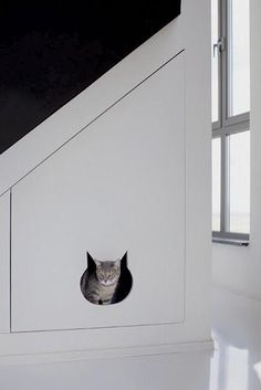 a cat sitting in the corner of a white house with a black roof and window