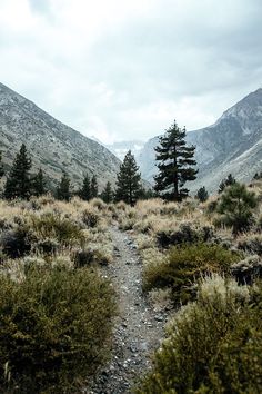 there is a trail going through the mountains