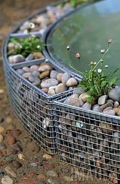 there are rocks and plants growing in the metal planter on the side of the pond