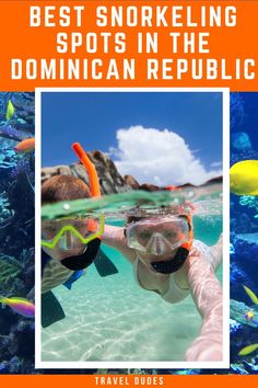 two people snorkeling in the ocean with text that reads best snorkeling spots in the dominican republic