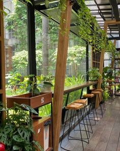 the inside of a greenhouse with lots of green plants and wooden stools on it