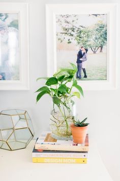 there is a plant in a vase on top of some books next to two pictures