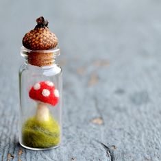 a tiny mushroom in a glass jar on the ground