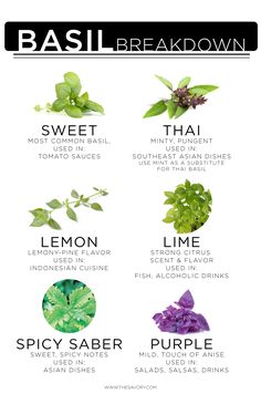 the different types of basil leaves and their names