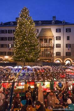 a large christmas tree is lit up in front of a building with many lights on it