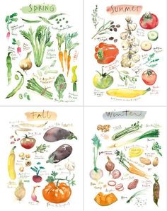 four watercolor paintings of different vegetables and fruits