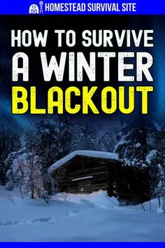 Winter is a terrible time for a power outage, but it happens to millions of people every year. In fact, freezing temperatures are one of the biggest causes of death. Here's how to prepare for and survive winter blackout. Power Outage Preparedness Winter, Power Outage Hacks Winter Storm, Winter Power Outage Survival, Ww3 Prepping, Power Outage Preparedness, Survive Winter