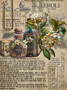 an old poster with some flowers and bottles on it's back side, including the names