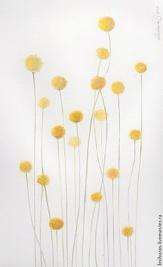 watercolor painting of yellow flowers against a white background