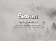 the words serein are surrounded by fog and trees