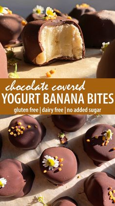 chocolate covered yogurt banana bites with flowers on top and text overlay that reads, chocolate covered yogurt banana bites