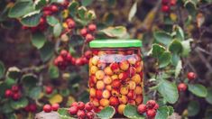 a jar filled with lots of berries sitting on top of a wooden table next to leaves