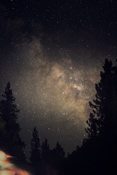 the night sky is filled with stars and trees