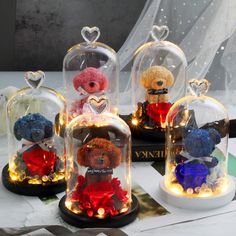 four teddy bears under glass domes with lights