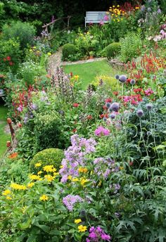 a garden filled with lots of colorful flowers