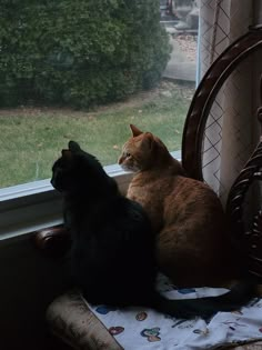 two cats sitting on a chair looking out the window