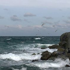 seagulls flying over the ocean with rocks and waves crashing against them on a cloudy day