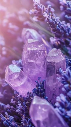 purple crystals and lavender flowers in the sunlight