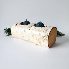 two birds sitting on top of a piece of wood next to some green leaves and twigs