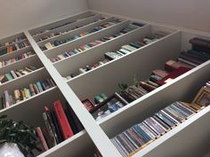 a room filled with lots of books on top of white book shelves next to a potted plant