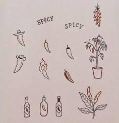 an image of different types of spices and herbs drawn on a piece of white paper