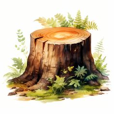 a painting of a tree stump surrounded by plants and leaves on a white background with watercolor effect