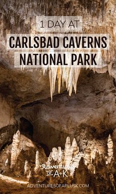 the caves in carlsbad cavern national park with text overlay that reads 1 day at carlsbad cavern national park